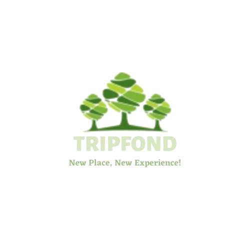 Tripfond light logo