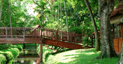 Top 10 Luxury Ayurveda Resorts in Kerala (2025 Guide)